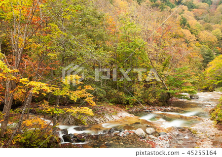 Fall of Shirohakyo Fall of Shirohakyo 45255164