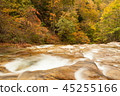 Mountain stream autumn (Teruha Gorge) 45255166