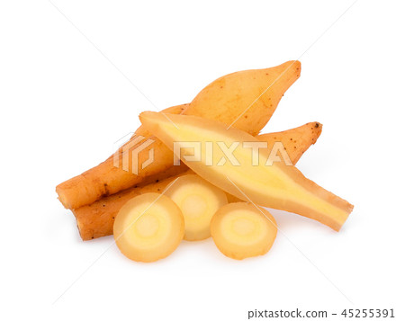 fingerroot isolated on white background fingerroot isolated on white background 45255391