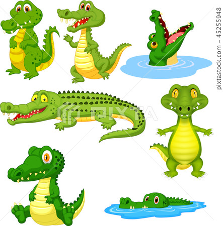 插图素材: cartoon green crocodile collection set 查看全部