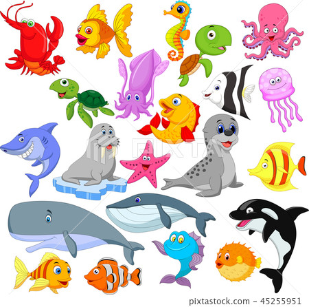 Cartoon sea life collection set 45255951