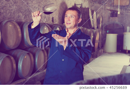Taster posing with glass of wine Taster posing with glass of wine 45256689