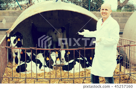 Vet employee near calves barn in farm Vet employee near calves barn in farm 45257160