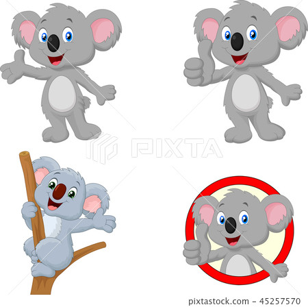 Cartoon happy koala collection set 45257570