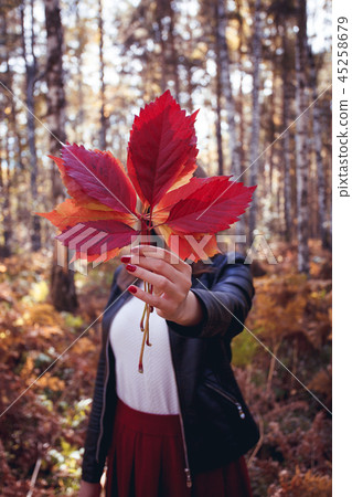 Autumn leaves in girl hands 45258679