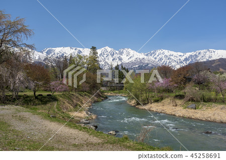  奧托吊橋 45258691