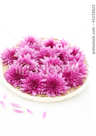 食用菊花 45258822