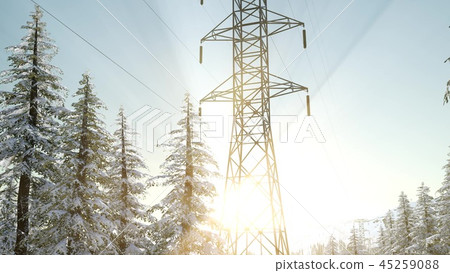 electric line at sunrise in snow covered forest 45259088