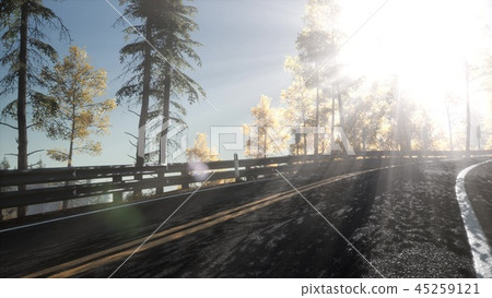 Camera Movement By Road In The Forest Camera Movement By Road In The Forest 45259121