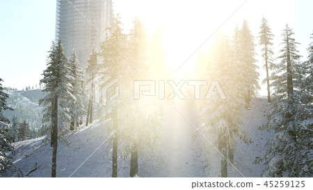 sity and forest in snow at sunrise sity and forest in snow at sunrise 45259125