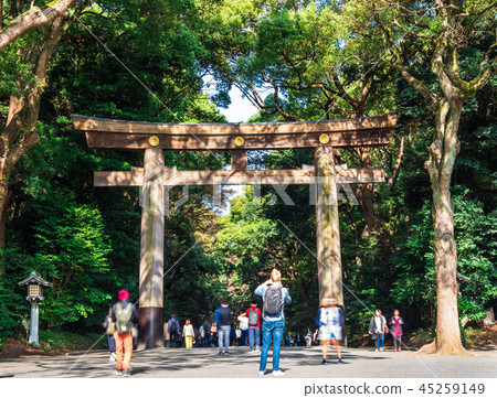 明治神宮南入口 45259149
