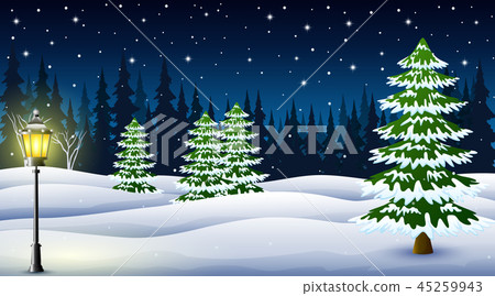 winter night pine trees and street lamp at night winter night pine trees and street lamp at night 45259943