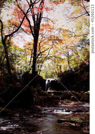Aso Mazeno谷秋天風景 Aso Mazeno谷秋天風景 45260113