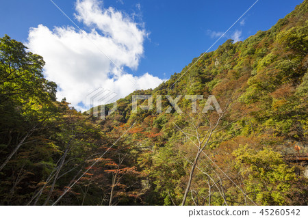 Agatsuma Valley 03 45260542