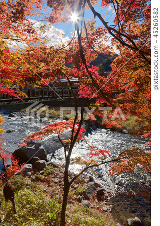 Suspension bridge of red 45260582