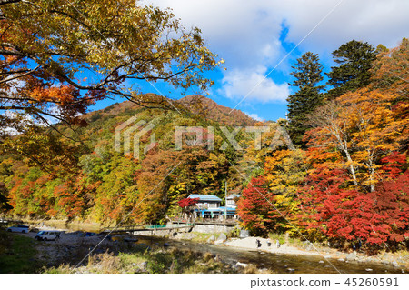 從紅色吊橋觀看沿著鴨川的秋葉 45260591