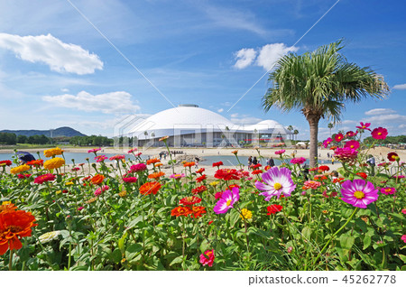 Yamaguchi Kirara Hiroshi Memorial Park Yamaguchi Kirara Hiroshi Memorial Park 45262778