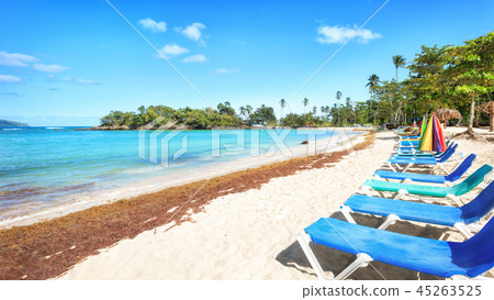 Vacation in Dominican Republic Vacation in Dominican Republic 45263525