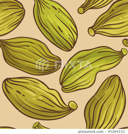 cardamom seeds vector pattern 45264152