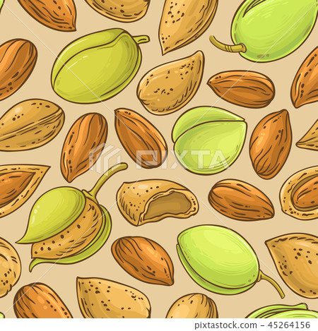 almond nuts vector pattern 45264156