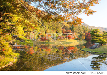 Shugakuin rikyu浴龍池塘的秋葉 45266508