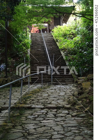 從志賀縣江東三大山之一的孔戈林寺的石鋪路看，它是Nitenmon的風景和深綠色的風景。 45266602