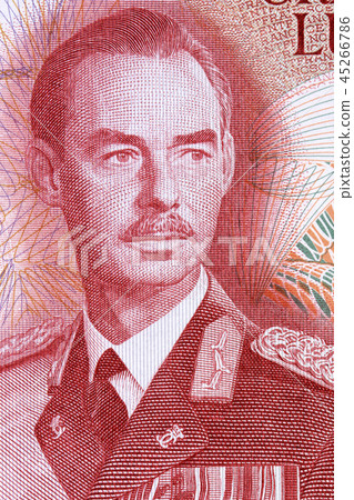 Jean, Grand Duke of Luxembourg a portrait  45266786