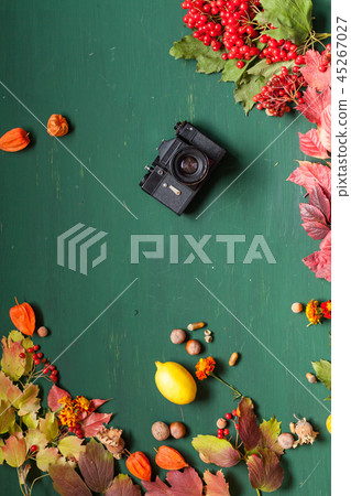 autumn yellow and Red leaves wooden background old camera autumn yellow and Red leaves wooden background old camera 45267027