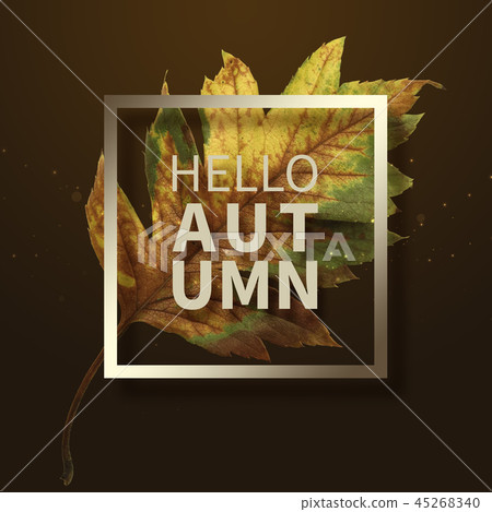 Autumn Frame & Object, Autumn Banner 45268340