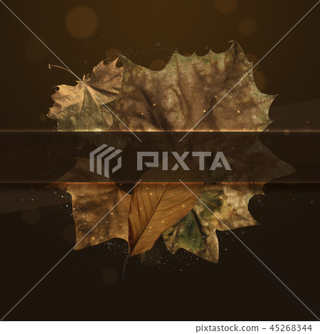 Autumn Frame & Object, Autumn Banner Autumn Frame & Object, Autumn Banner 45268344
