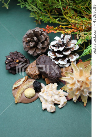 Chocolate 45269189