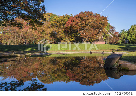 Aichi Prefecture Meijo Park Autumn 45270041