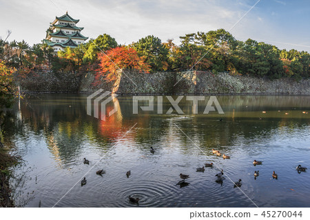 Aichi Prefecture Nagoya Castle Aki 45270044