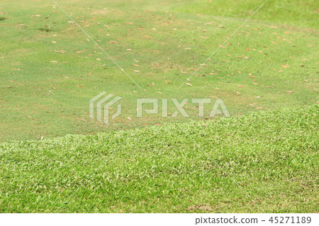 Perfect grass golf course field at hk 45271189