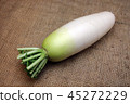日本蘿蔔 45272229
