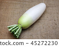 日本蘿蔔 45272230
