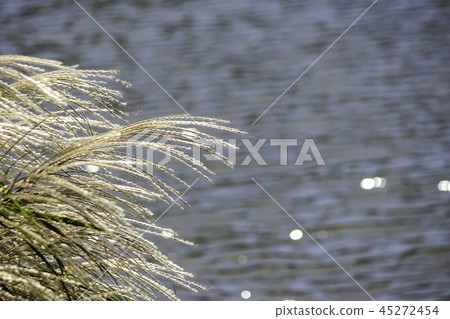 Taiwan, Yangming Mountain, Manghua, Dagu Mountain, Qiumang, Guangying, Lake 45272454