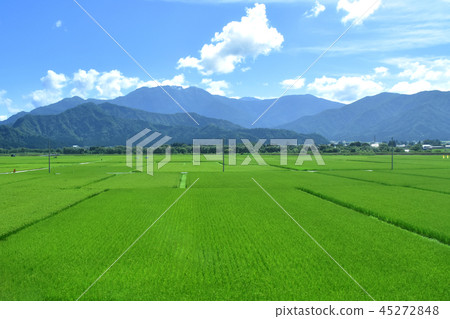 Summer rice fields and Mt. Hakkaisan from the Joetsu Line train window 45272848