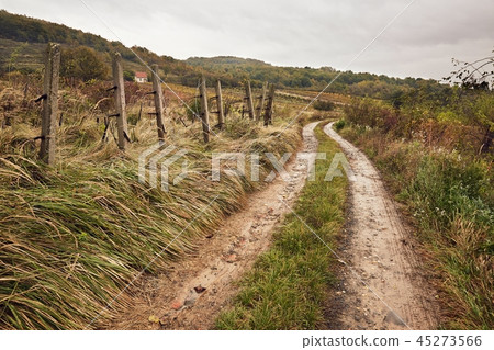 Dirtroad in the countryside 45273566