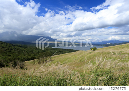 Panorama table Panorama table 45276775