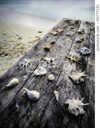 Old table with shells Old table with shells 45277281