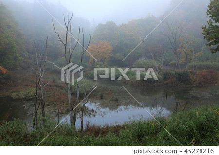 神秘的池塘包裹在早晨薄霧福島縣亞米鎮 45278216