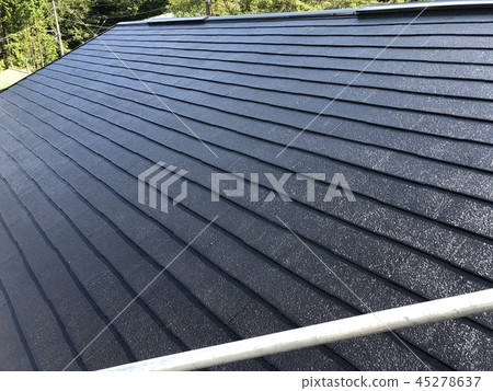 Roof painting 45278637