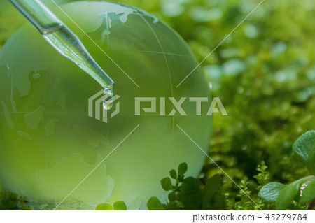 Environmental image 45279784