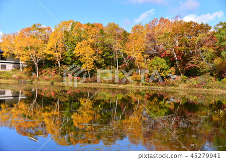 2018 Shiga Kogen Hasu Pond 2018 Shiga Kogen Hasu Pond 45279941