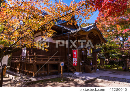 《Nagano Prefecture》Komoro Castle Ruins Koen Kaiko Shrine Autumn Leaves 《Nagano Prefecture》Komoro Castle Ruins Koen Kaiko Shrine Autumn Leaves 45280040