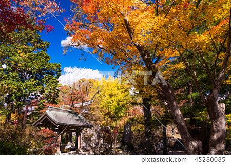 << Nagano Prefecture >> Autumn leaves of Komoro Castle << Nagano Prefecture >> Autumn leaves of Komoro Castle 45280085