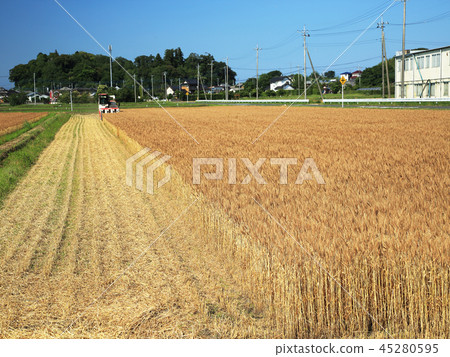 在收穫的麥田 45280595
