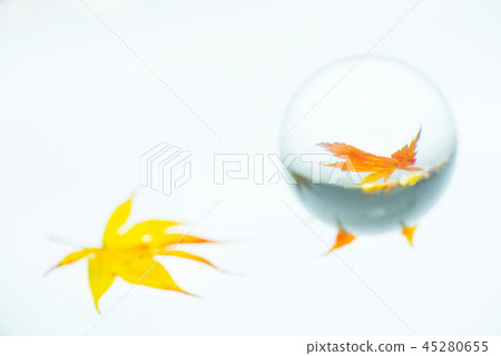 秋天的樹葉 45280655