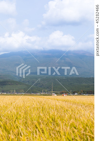 Mt Chokai And Riceho Stock Photo